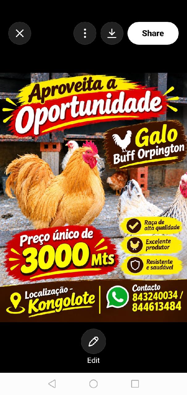 apreveite a opurtunidade