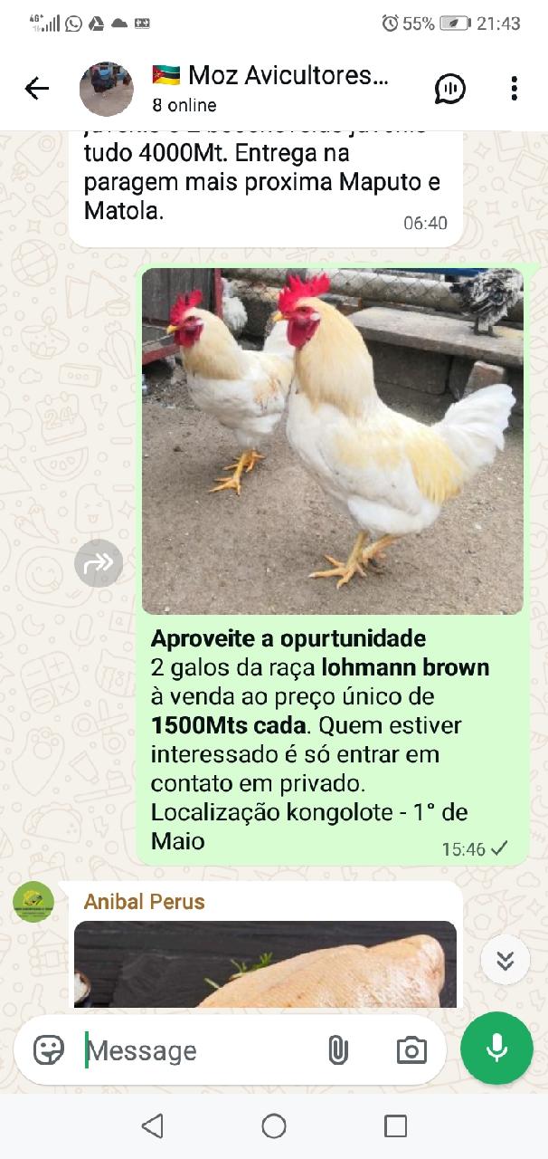 apreveite a opurtunidade